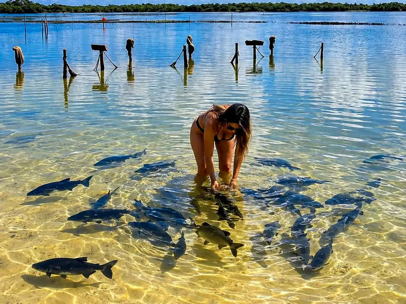 Mulher dentro da água rasa e clara da lagoa, inclinada para os tambaquis que nadam em volta dela