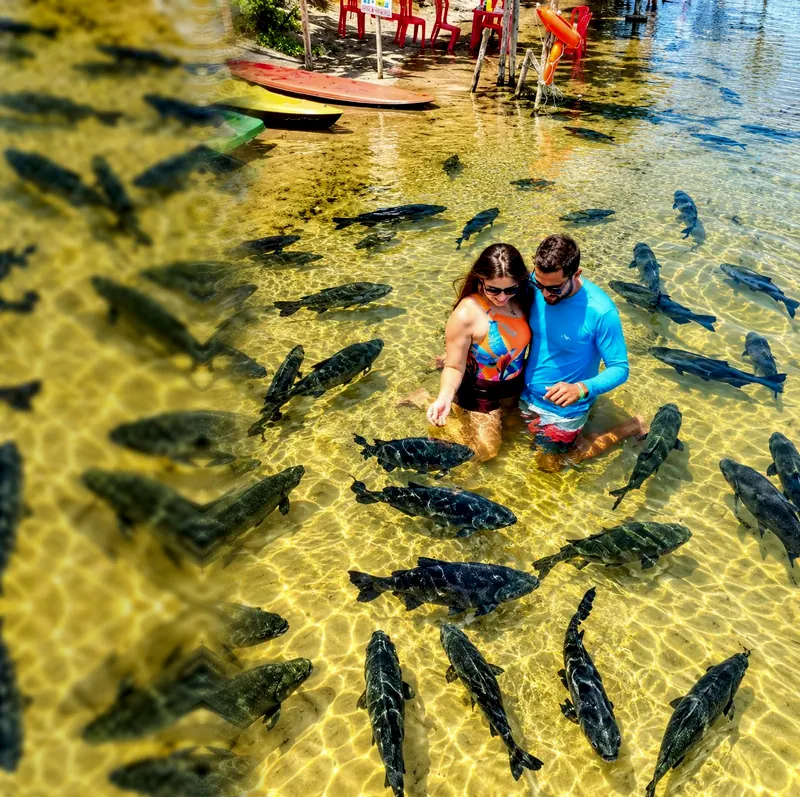 Casal dentro da água rasa e transparente da lagoa, visto do alto, cercado por dezenas de tambaquis